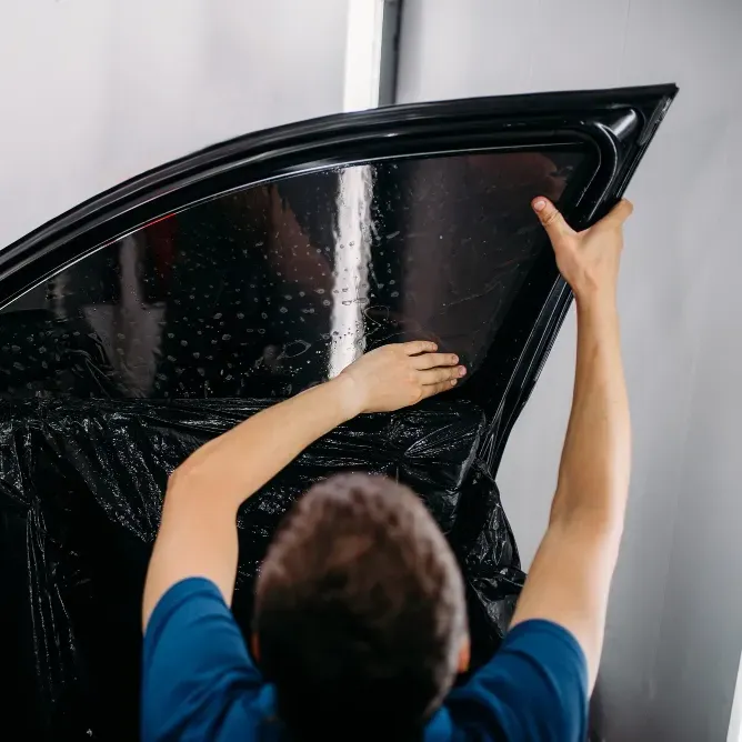 3M Window Film